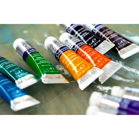 Winsor & Newton Cotman Watercolours 21ml