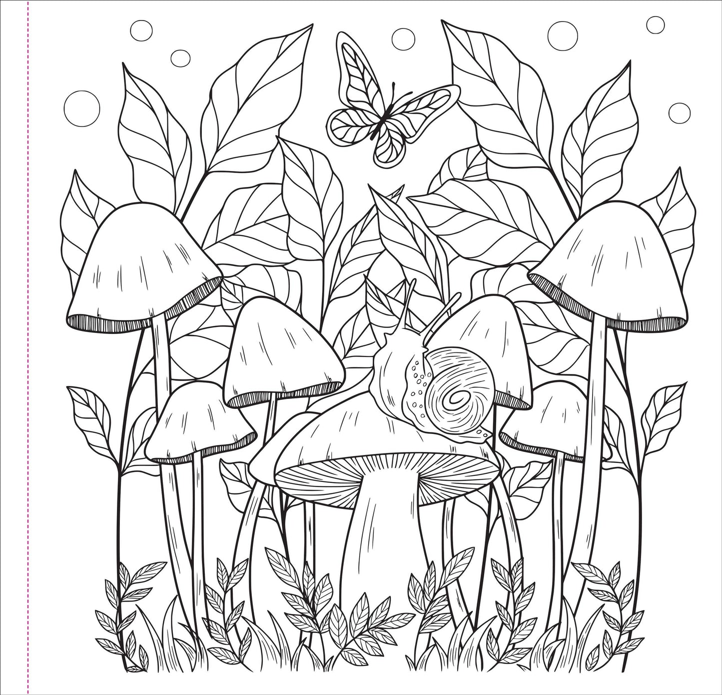 "Mushrooms" Colouring Book