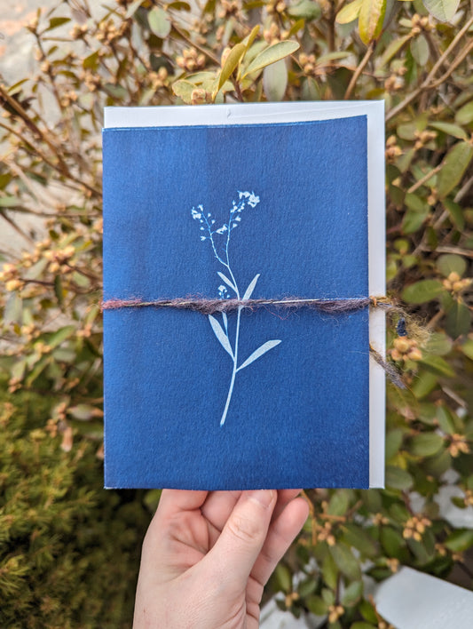 Cyanotype Greeting Card