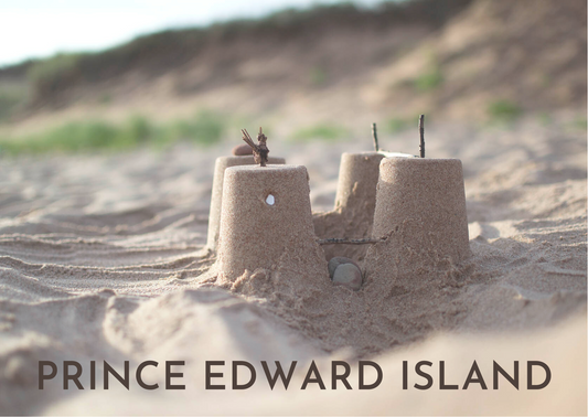 Sand Castle Postcard