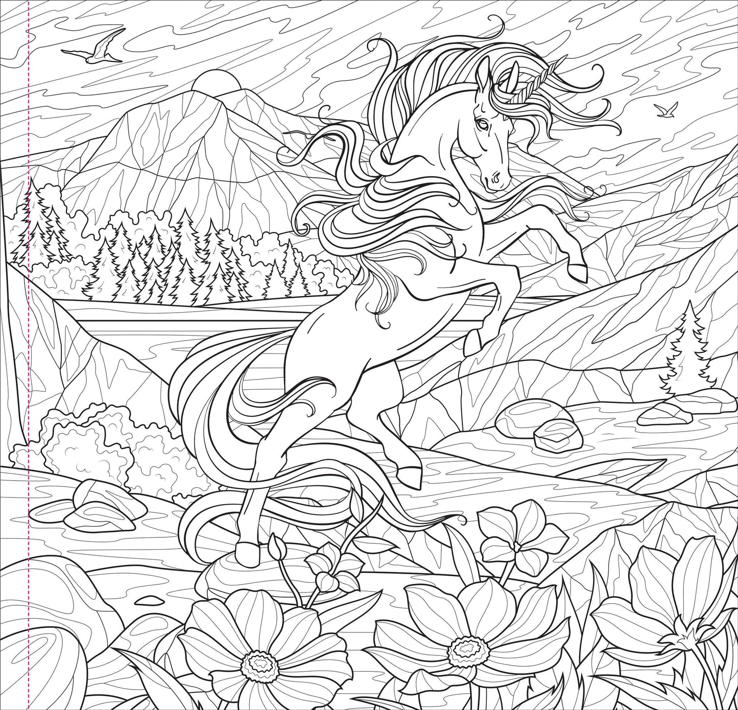 "Enchanted Kingdom" Colouring Book